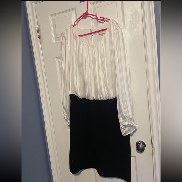 Professional dress - Picture 2 of 3